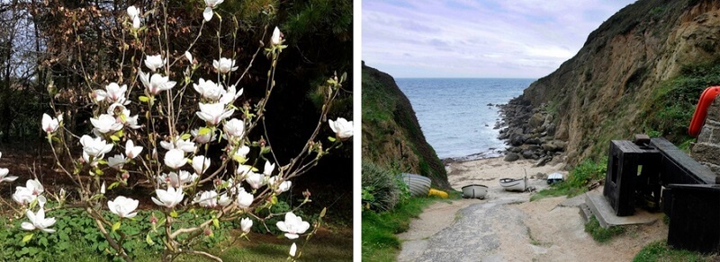 West cornwall spring walks activities